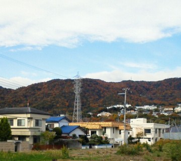 六甲山の紅葉２０１１.jpg