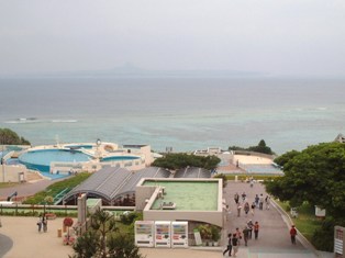 沖縄の海.JPG